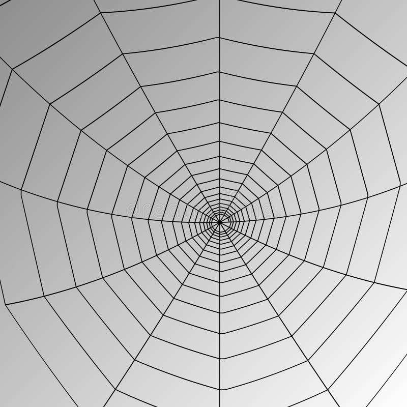 Web de araña del vector