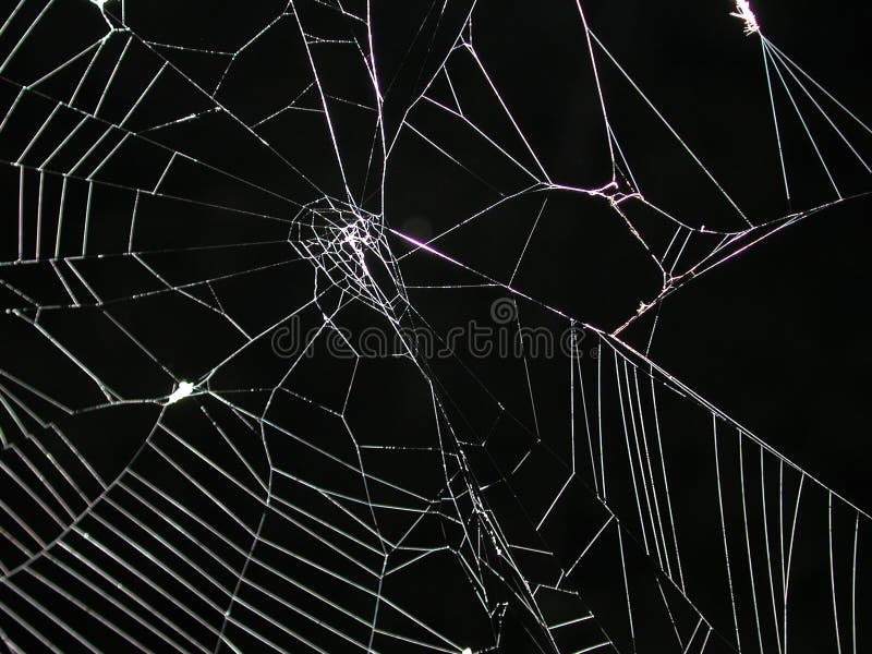 Web de araña en la textura de la noche Web de araña en la textura de la noche