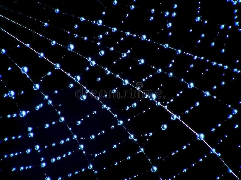 Web di ragno blu