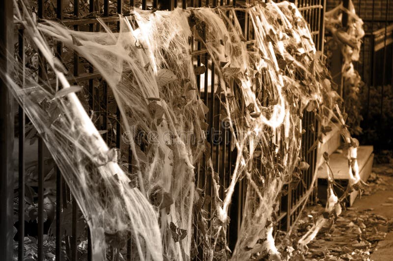 Web di ragno di Halloween