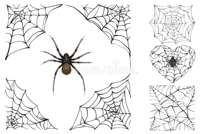 Web e ragno tossico Fissi Halloween accessorio illustrazione di stock Web e ragno tossico Fissi Halloween accessorio illustrazione di stock