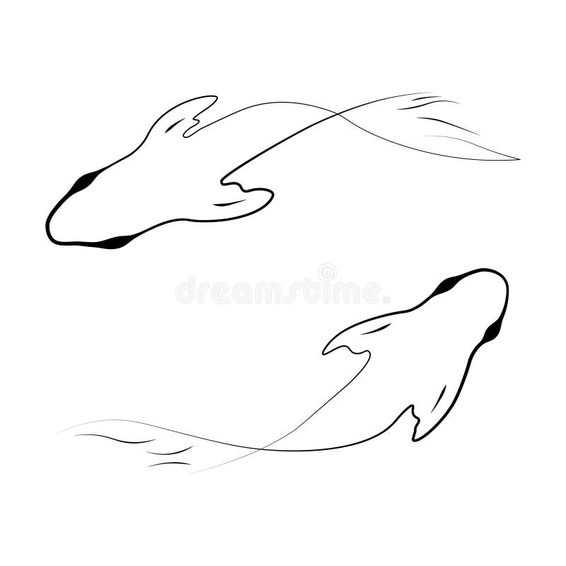 My Image 27