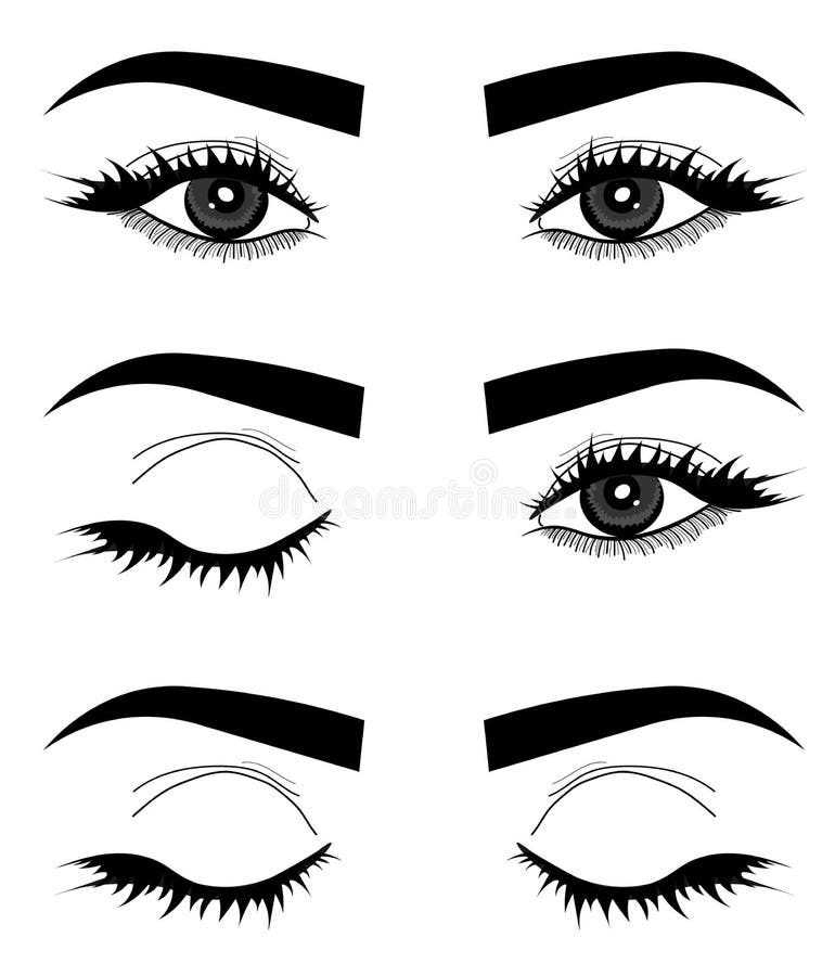 web Mikromischung Vektor von Augen, von Augenlidern und von Augenbrauen Logo des Gesichtes einer Frau vektor abbildung web Mikromischung Vektor von Augen, von Augenlidern und von Augenbrauen Logo des Gesichtes einer Frau vektor abbildung