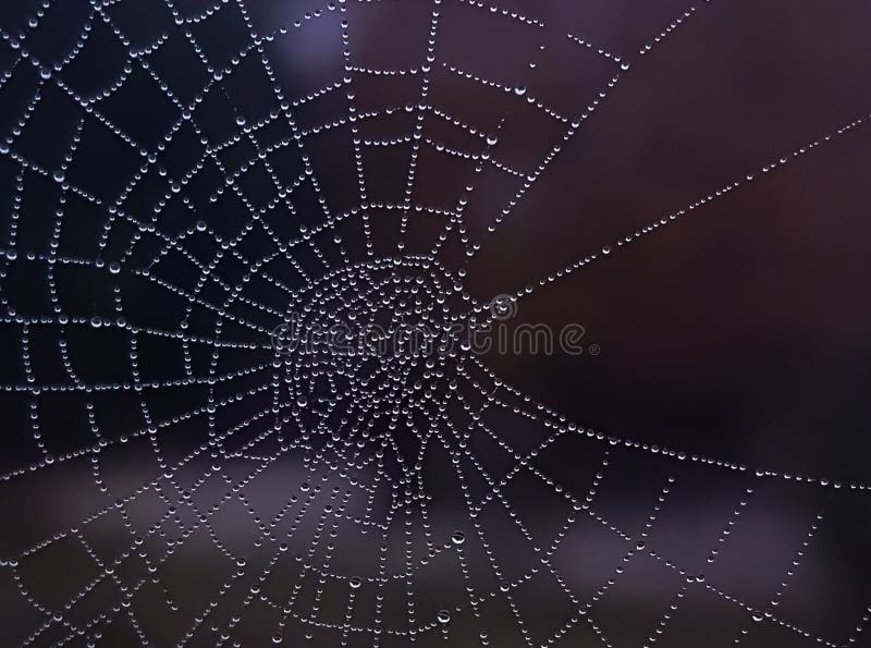 spider web wallpaper pattern spider web wallpaper pattern