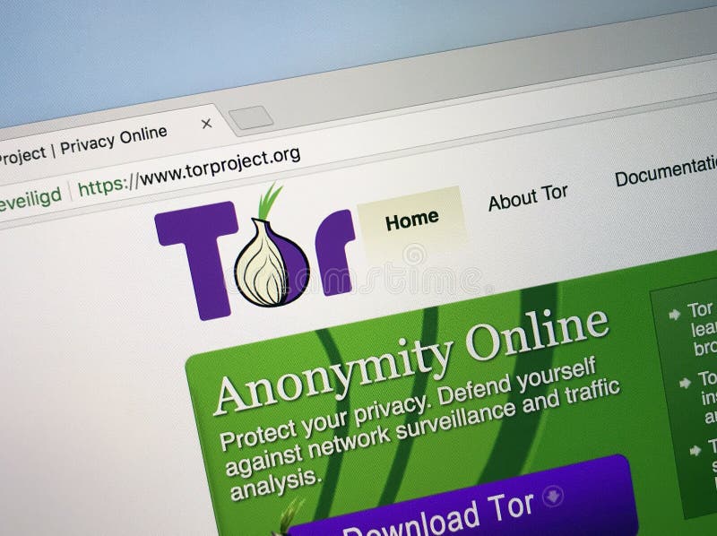 tor onion download