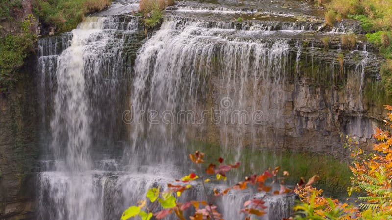 Webster's falls in Hamilton stock video footage