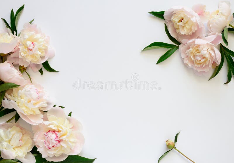 1,257,137 Wedding Background Stock Photos - Free & Royalty-Free Stock  Photos from Dreamstime