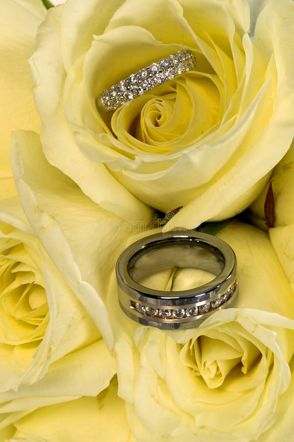 Wedding Rings in Roses stock photo. Image of pretty, groom 4973374