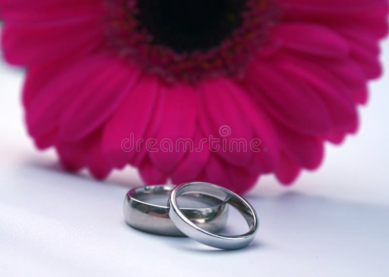 Wedding bands and pink gerbera