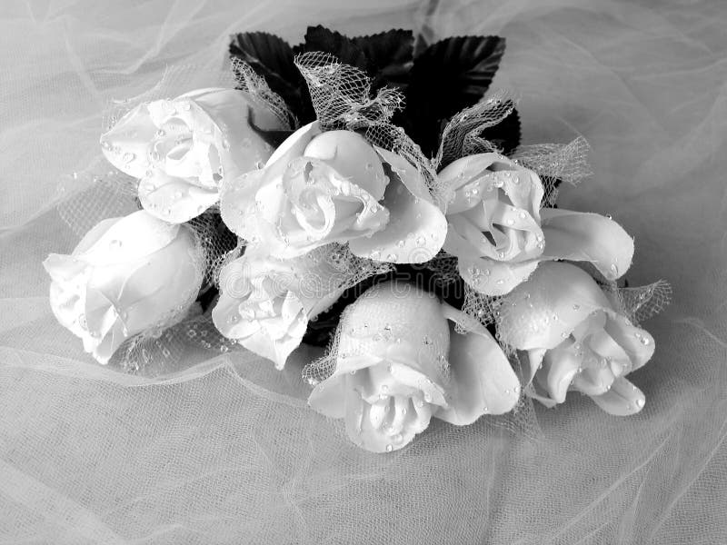 Bianco e nero da rose (artificiale) 