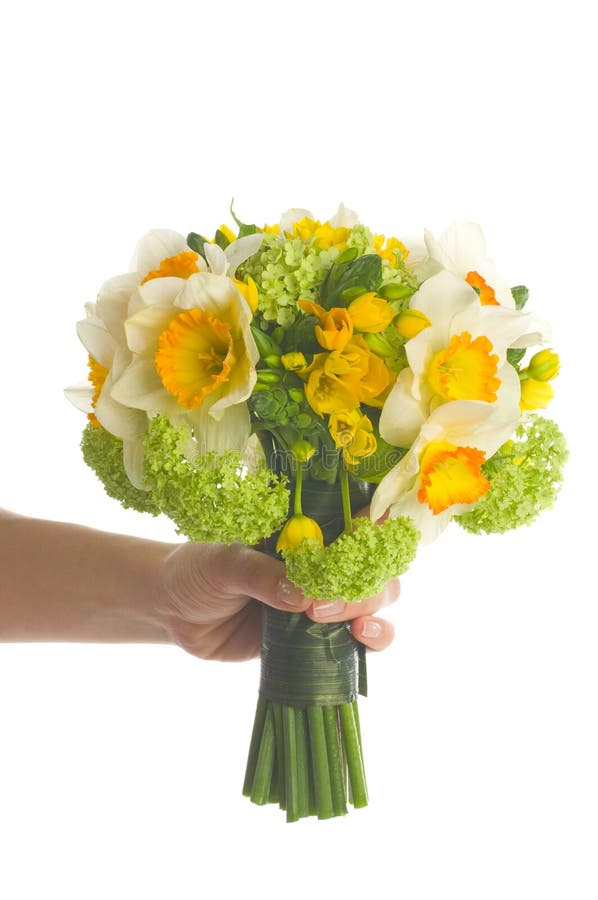 Wedding Bouquet with Daffodil Stock Photo Image of hydrangea, bouquet 37105946