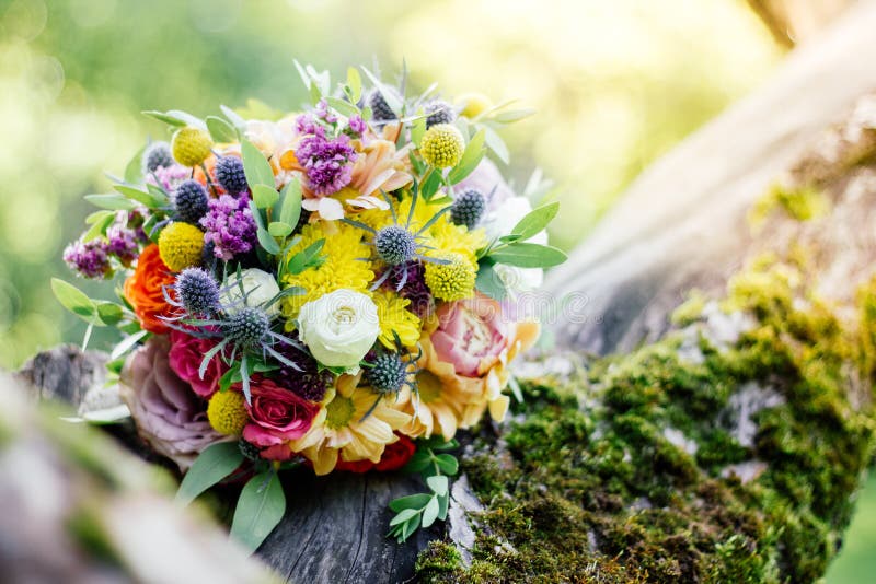 Wedding bouquet on tree stock photo. Image of engagement - 100138410