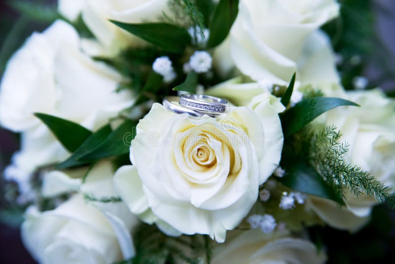 Wedding Bouquet with White Roses. Rings Stock Image Image of bride