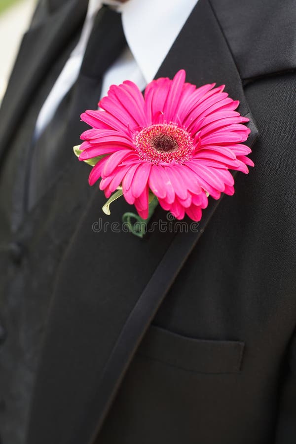 Wedding Boutonniere stock photo. Image of tuxedo, husband - 5538700