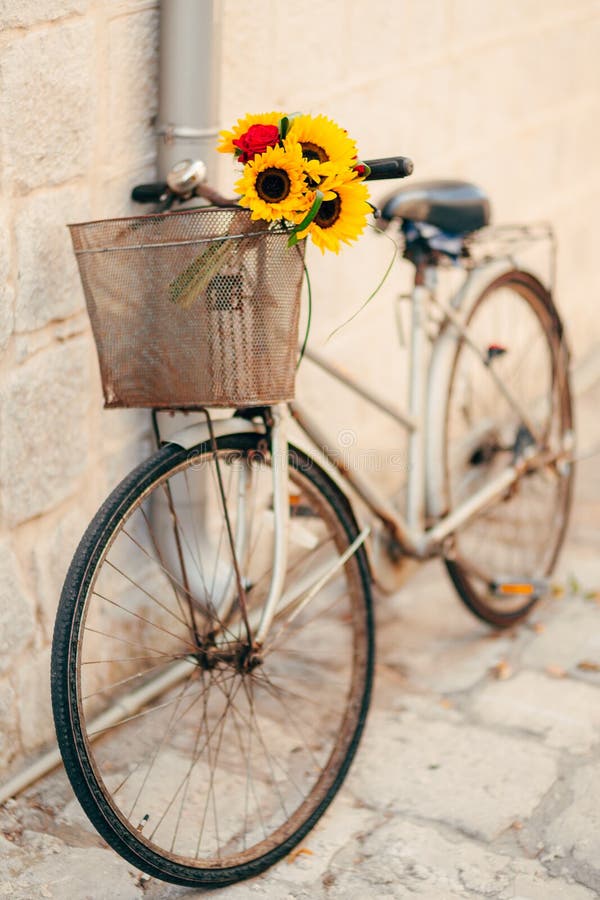 Wedding bridal bouquet of sunflowers in the basket of the bicycl