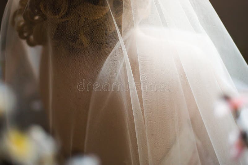 Wedding bridal veil