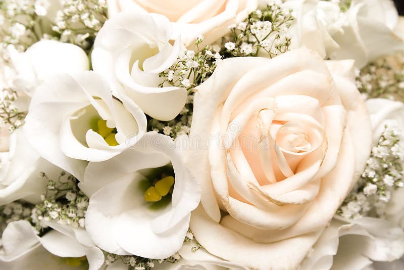 Wedding bunch of flowers stock image. Image of close, petal 2825173