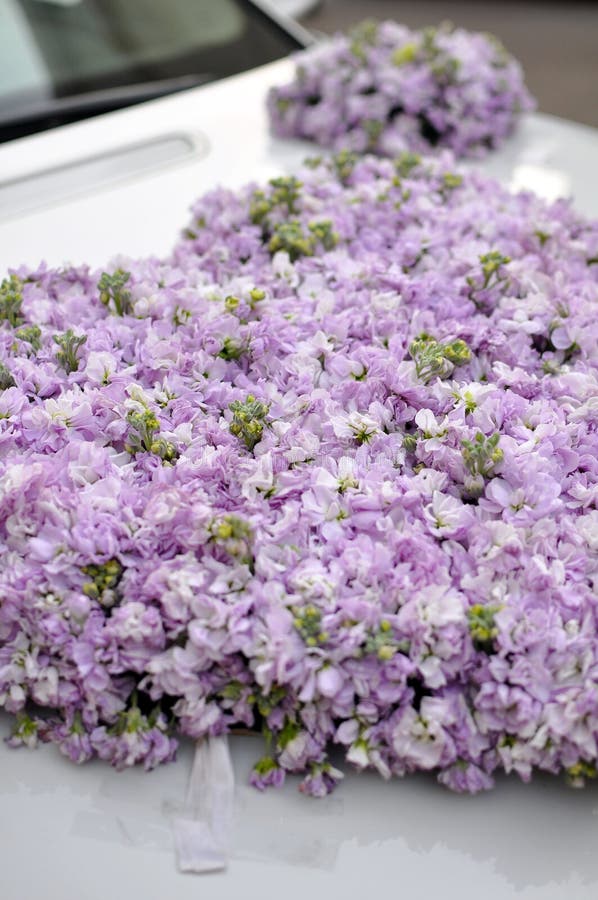 Wedding Car Flowers