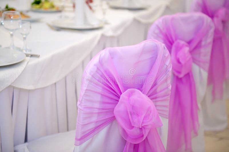 Wedding Chairs with Pink Bows Stock Image Image of decoration
