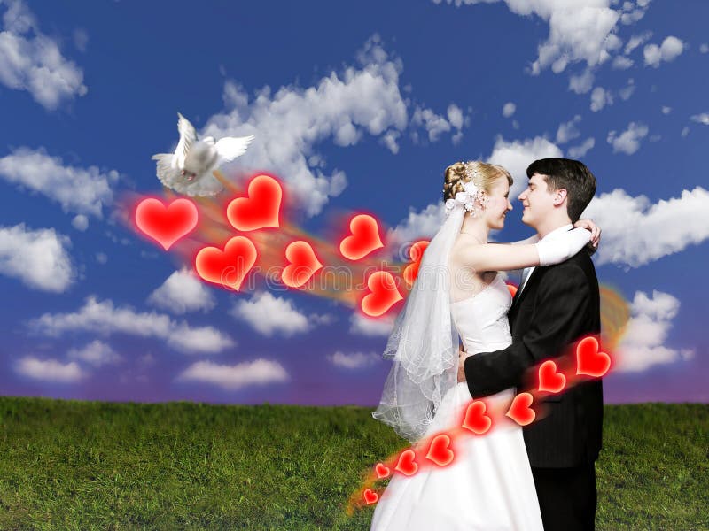 Wedding couple with dove on meadow collage