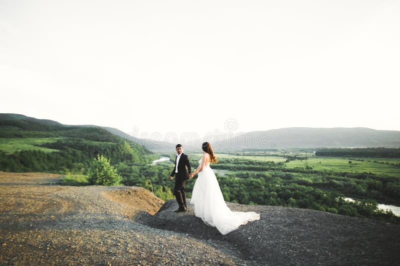 Wedding Couple Holding Hands, Groom and Bride Together on Wedding Day ...