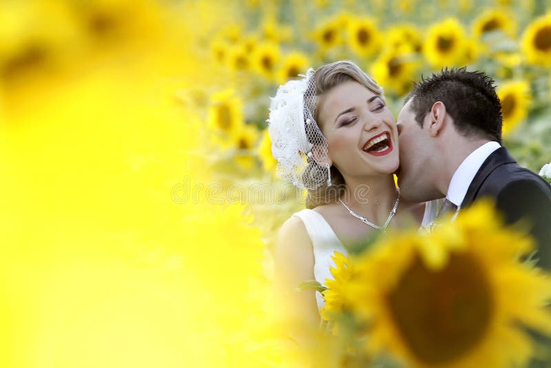 Coppia di sposi, la sposa e lo sposo baci in campo di girasole.