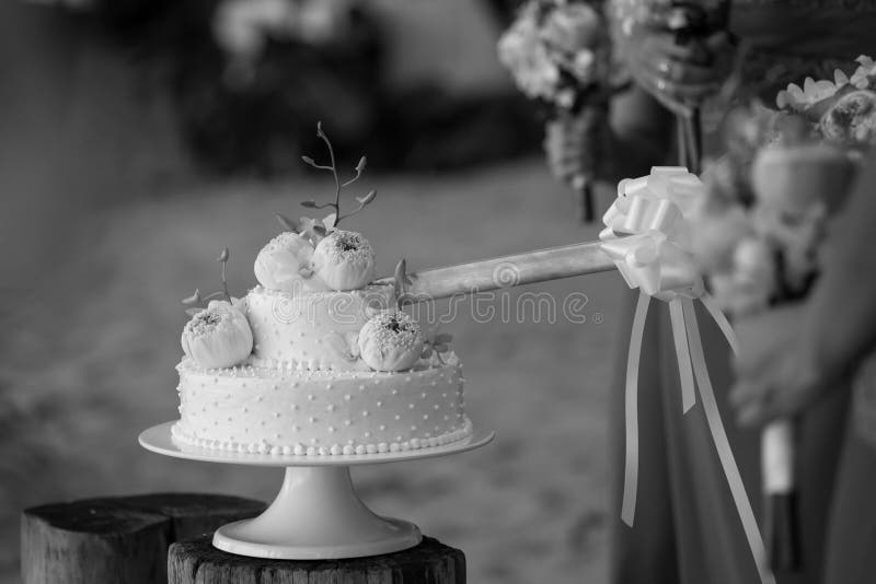 Cutting a wedding cake. stock image. Image of decorated 118845097