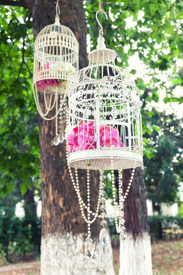 2,533 Vintage Birdcage Stock Photos Free & RoyaltyFree Stock Photos from Dreamstime