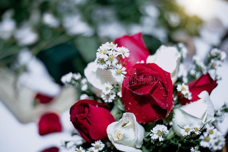 Wedding Flowers Bouquet of Fresh Roses, Flower Bright Background Stock  Image - Image of floral, marriage: 229460455