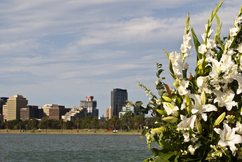 Wedding Flowers, Melbourne, Australia Stock Photo Image of elegance