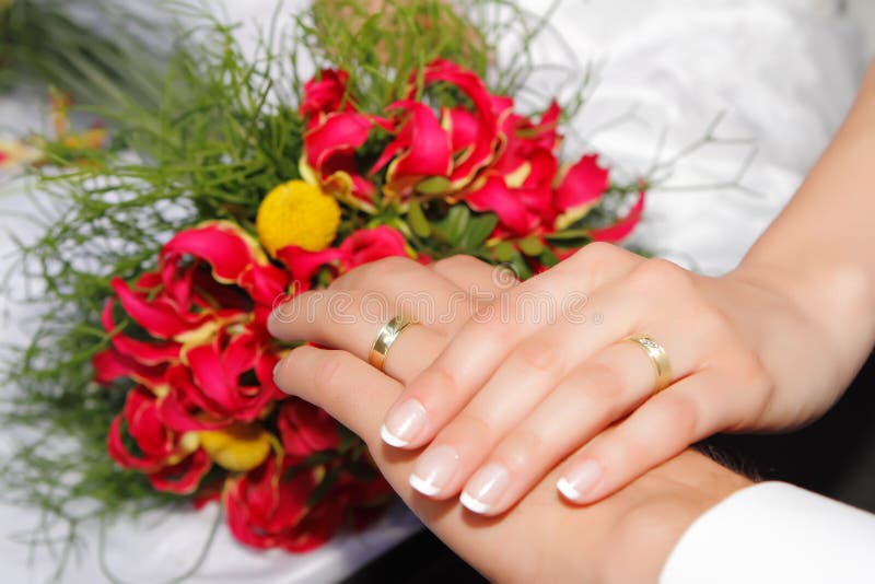 Wedding hands with rings royalty free stock photography