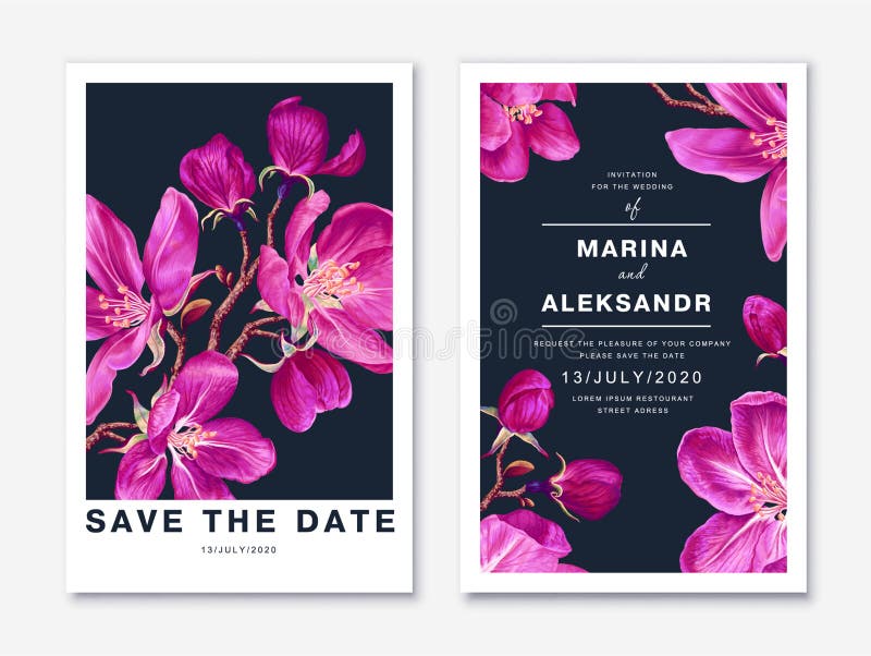 Two postcard templates with spring blooming pink apple blossoms. royalty free illustration