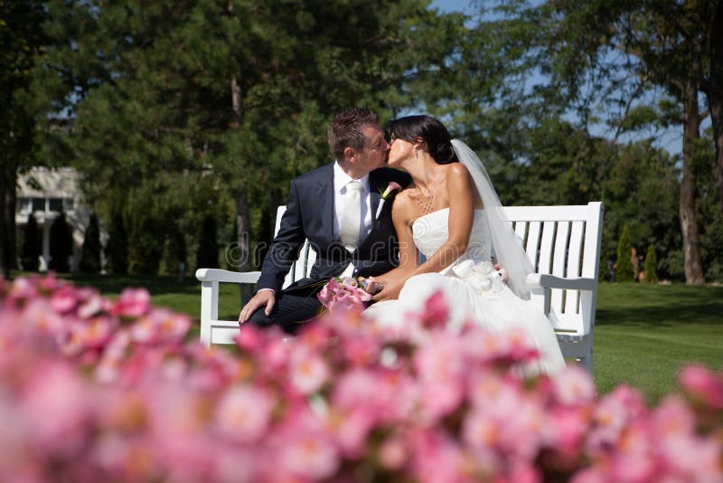 Wedding kiss stock photo. Image of beautiful, passion 33420710