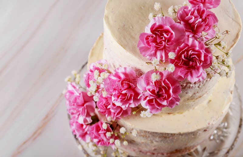 987 Homemade Wedding Naked Cake Stock Photos picture picture