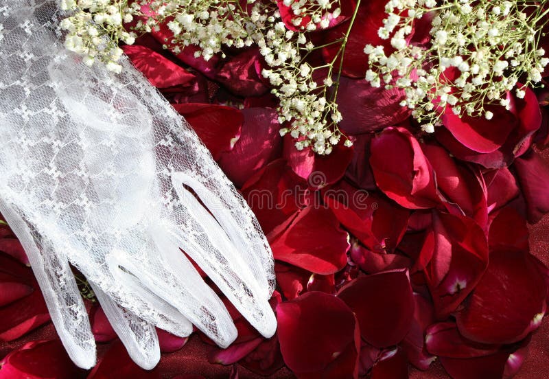Wedding Petals Picture. Image 3865010
