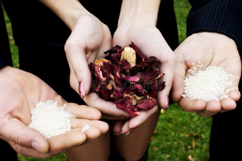 Wedding Rice and Petals of Colours in Hands Stock Image Image of