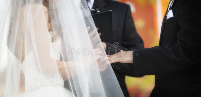 Wedding Ring Exchange Horizontal Banner royalty free stock photos