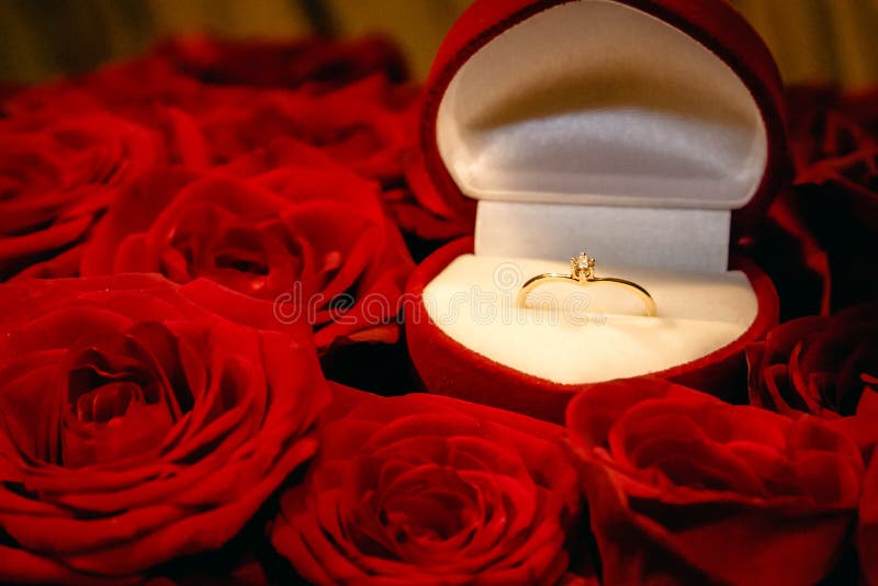 Wedding Ring in a Gift Box on a Bouquet of Red Roses Stock Photo