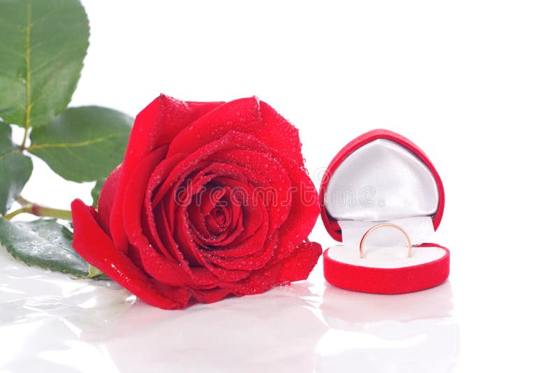 Wedding Ring and Rose, Will you marry me