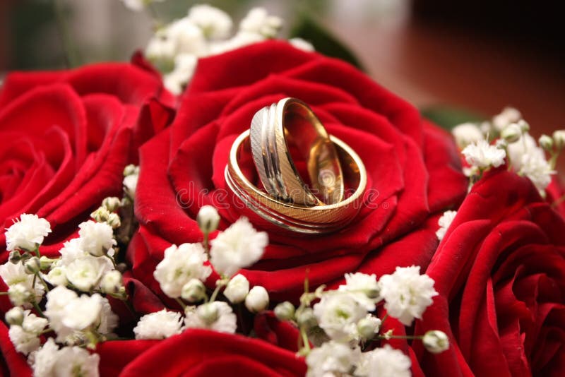 Wedding rings stock photo. Image of flower, wedding, flowers - 12856320