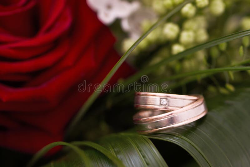 Wedding rings