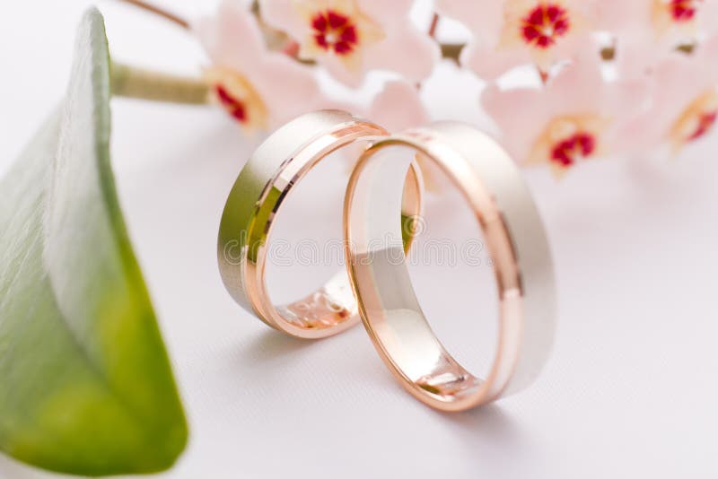 Wedding rings stock photo. Image of life, golden, tying - 4273992