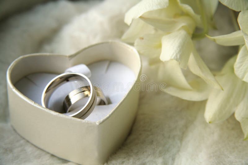 Una foto de anillos de boda en corazón cabina.