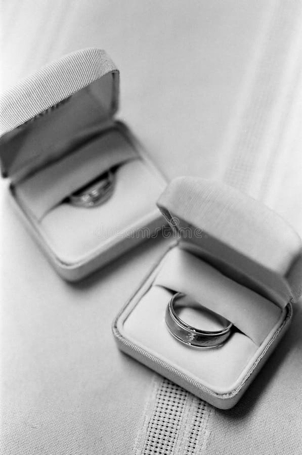 Wedding rings stock image. Image of hands, groom, color 6195587