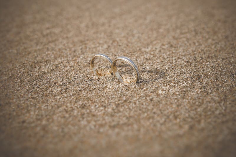 Wedding Rings for the Bride and Groom Stock Image Image of jewelery