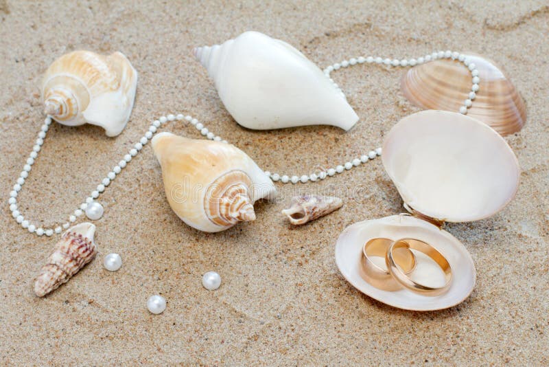 Wedding rings in cockleshell on sand