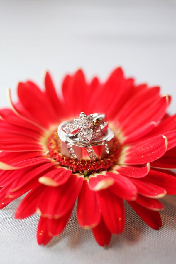 Wedding Rings on Flower