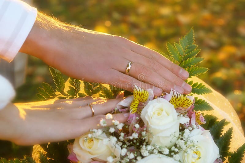 Wedding rings and flowers stock image. Image of husband 11357115