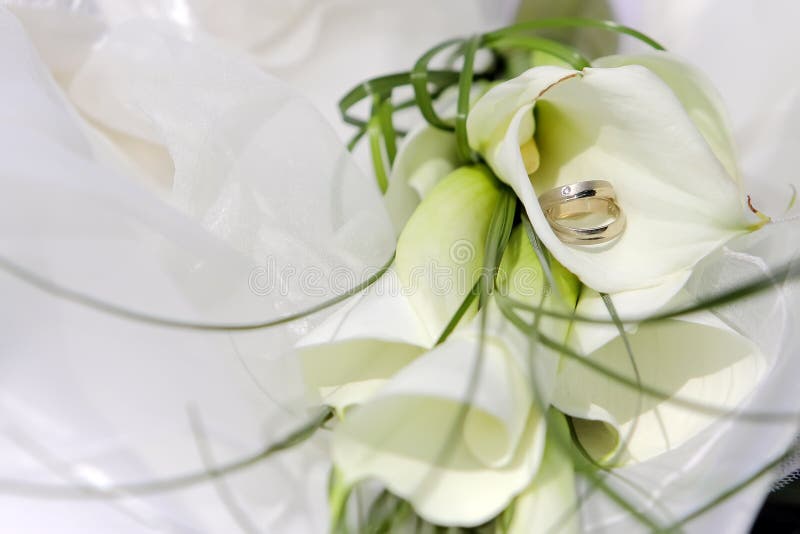 Wedding rings with flowers stock image. Image of material 22895227