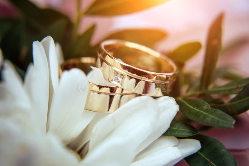 Wedding Rings, Gold and Diamond on a White Chrysanthemum, Close-up. Two ...